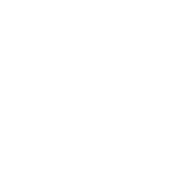 ce logo Joshua Tree